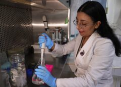 Estudio de la Facultad de Ciencias Químico Biológicas de la UAS evalúa la efectividad de nuevos antibióticos frente a Pseudomonas aeruginosa