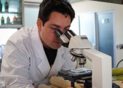 Estudiante de Agronomía de la UAS realizará verano científico en el CIAD; investigará el uso de quitina de camarón para mejorar semillas de maíz