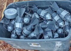 Hallan arsenal oculto en vehículo abandonado en El Rosario; aseguran 49 explosivos y cientos de cartuchos
