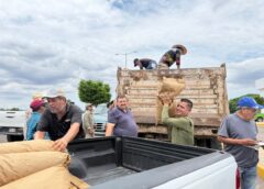H. Ayuntamiento de Angostura entrega 2.8 toneladas de semilla de cacahuate para fortalecer la producción agrícola