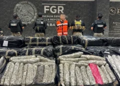 Aseguran más de una tonelada de mariguana en Tabasco; detienen a conductor durante operativo