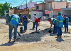 Avanza en Salvador Alvarado el mejoramiento de vialidades con intensa campaña de bacheo