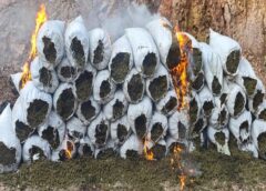 Asegura el Ejército Mexicano cargamento de 3.9 millones de pesos en marihuana en El Rosario
