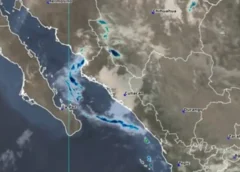 Clima en Sinaloa hoy 14 de agosto: Calor de hasta 40 °C y lluvias de hasta 50 mm en estos municipios