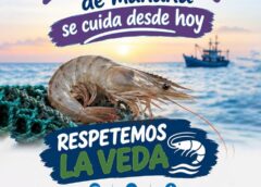 Llama Angostura a respetar la veda del camarón para proteger la pesca