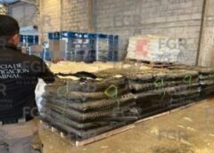 Aseguran más de 49 toneladas y 45 mil litros de sustancias químicas tras cateo en El Diez