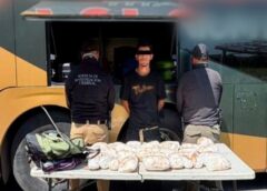 Detienen a pasajero con 26 kilos de presunta metanfetamina en autobús sobre la Mazatlán-Tepic