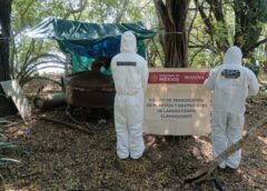 Localizan laboratorio clandestino de metanfetamina de 2 mil 500 metros cuadrados en Sanalona, Culiacán